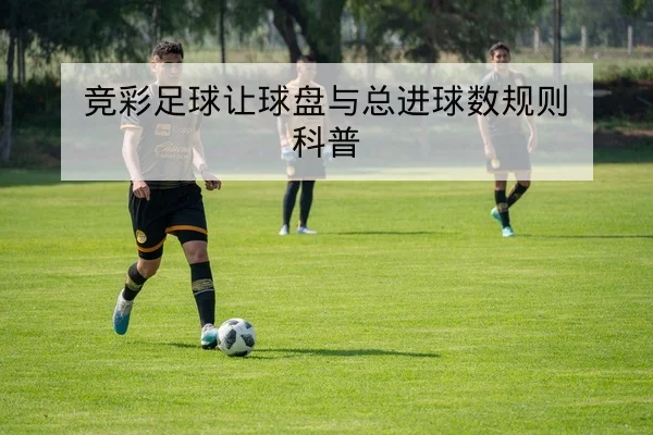 足球比赛越位判罚规则与VAR回放解读