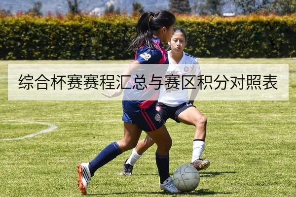综合杯赛赛程汇总与赛区积分对照表
